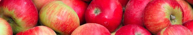 apples3.jpg