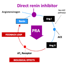 Plasma Renin Activity