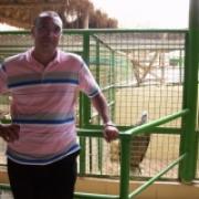 mohammed khamies elgazzar