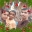 Binu C Jose