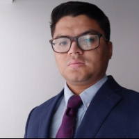 ROMAN ERNESTO ROSALES VIRGEN