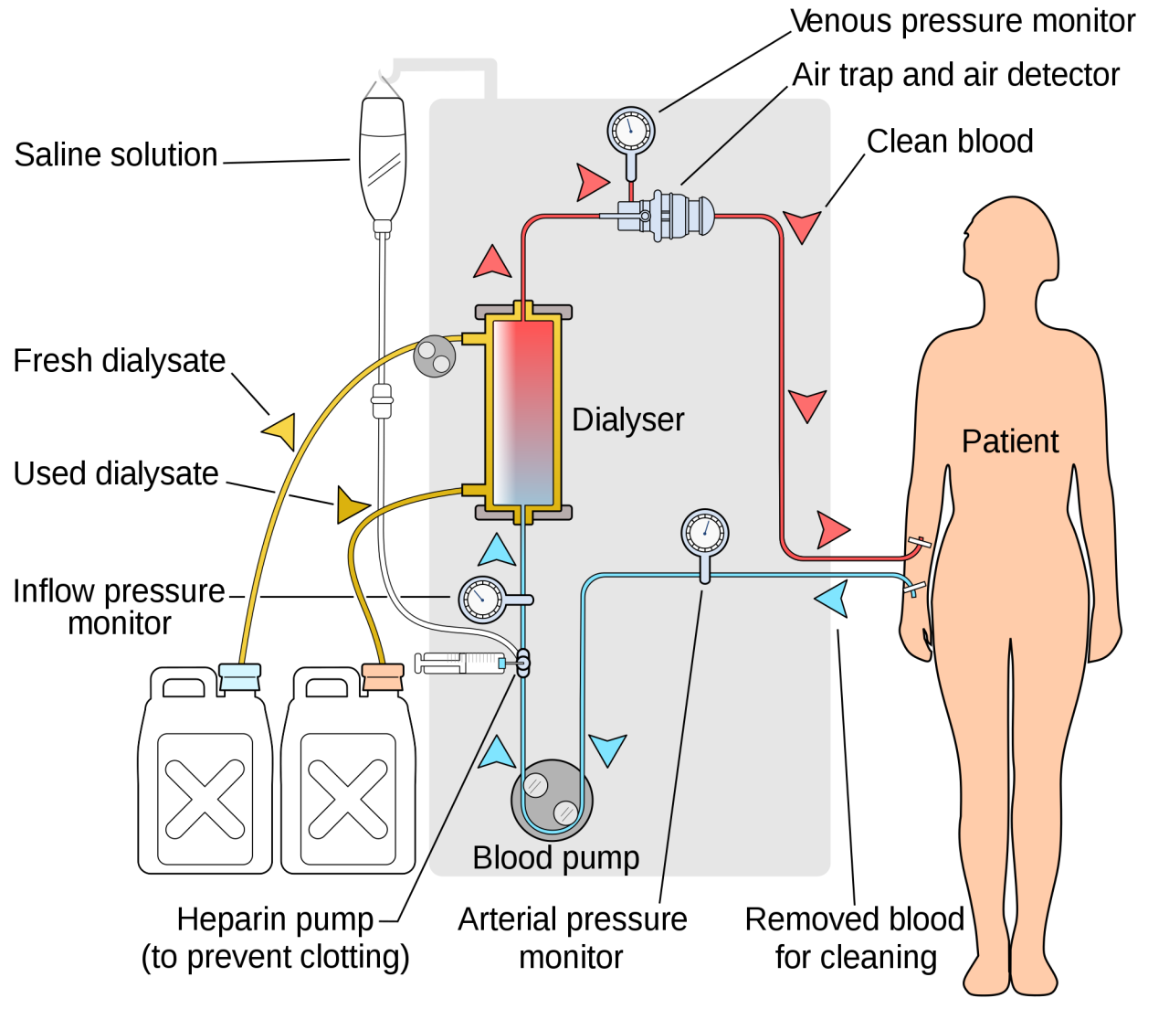 dialysis-nurses